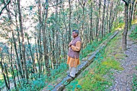 The people’s forester