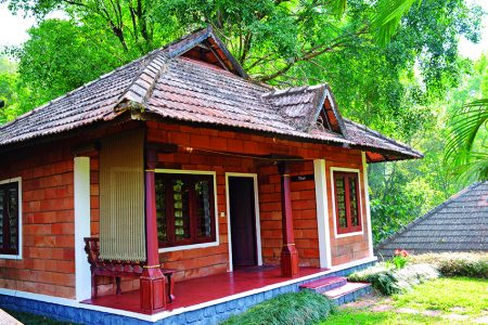 A cottage in Misty Woods in the heart of coffee country